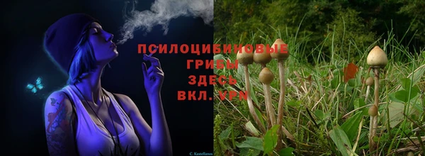 стаф Балабаново